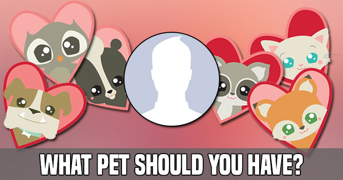 what-pet-should-you-have-quiz